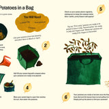 Little Green Fingers – Easy Peasy Gardening Activities