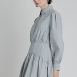 Basque Waist Gingham Shirtdress